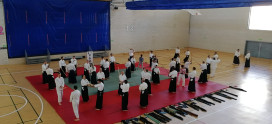 Aikido in Madrid aid of Cudeca Hospice