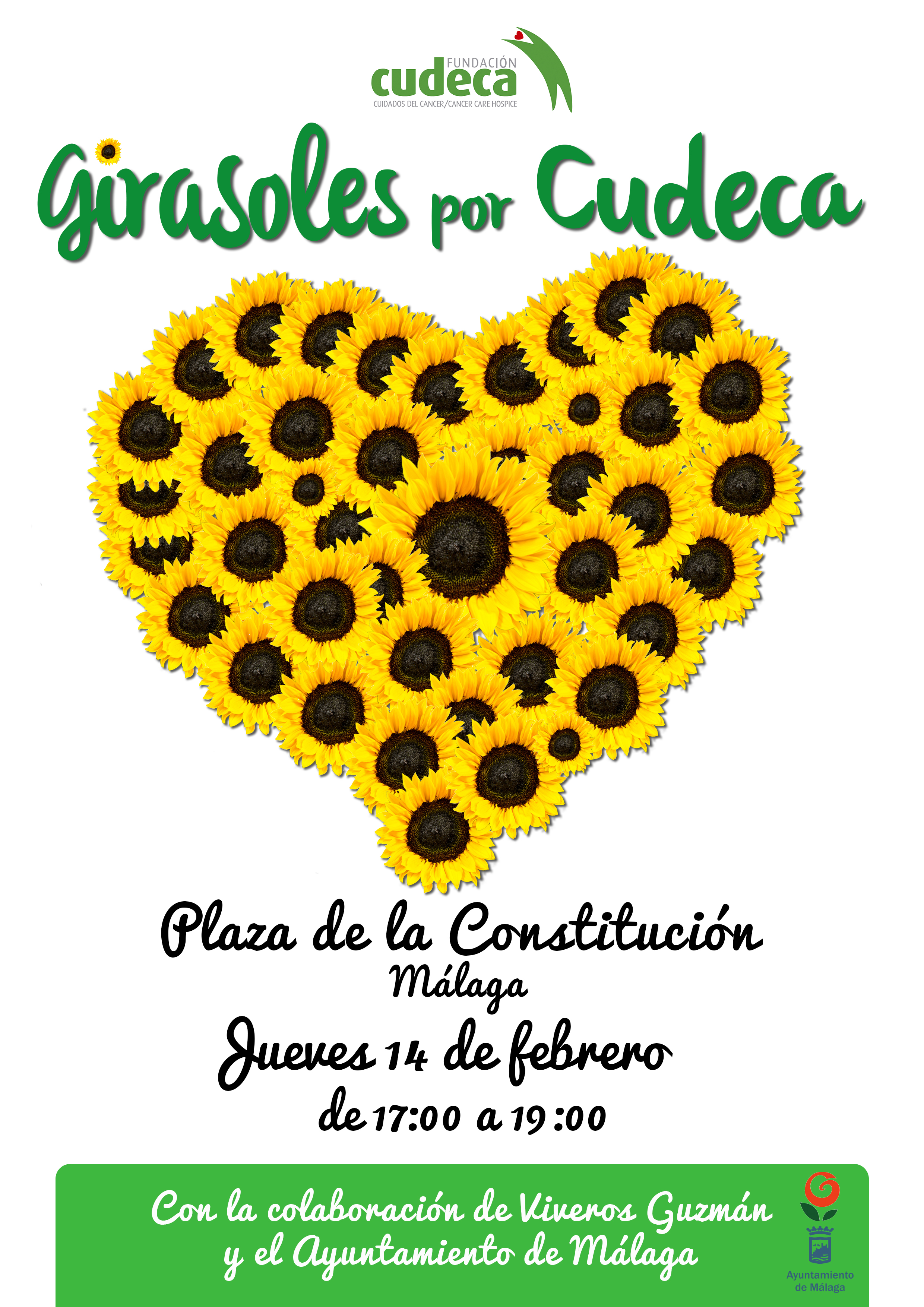 Sunflowers for Cudeca in Malaga city