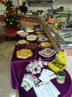 Bar Pikoteo de Bellavista hold charity tea party  in aid of Cudeca Hospice