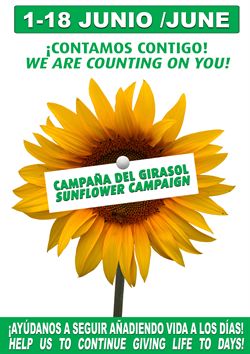Cudeca Annual Sunflower Campaign 2013