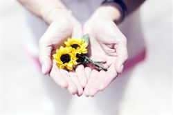 Hazte Socio de Cudeca