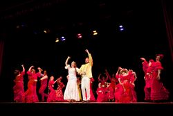 Cenicienta Flamenca a beneficio de la Fundación Cudeca