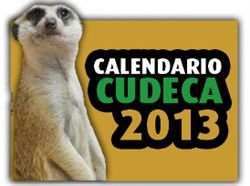 Calendarios 2013 y Tarjetas de Navidad de Cudeca