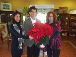 El Ayuntamiento de Benalmádena dona 40 pascueros a Cudeca