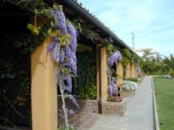 "Ciudad Verde S.L." collaboration