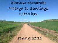 Cudeca Foundation, Cancer Hospice, Events