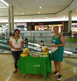 Campaña del Girasol 2017