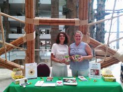 Cudeca Sunflower Campaign 2017