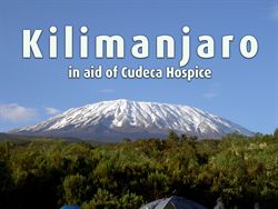 Cudeca Foundation, Cancer Hospice, Events