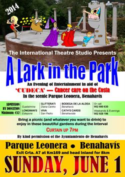 Cudeca Foundation, Cancer Hospice, Events